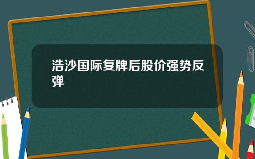 浩沙国际复牌后股价强势反弹