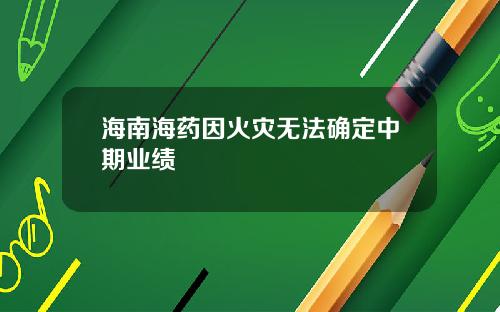 海南海药因火灾无法确定中期业绩