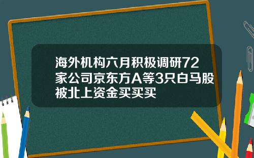 海外机构六月积极调研72家公司京东方A等3只白马股被北上资金买买买