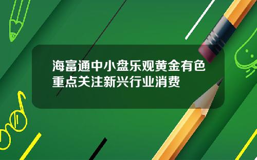 海富通中小盘乐观黄金有色重点关注新兴行业消费