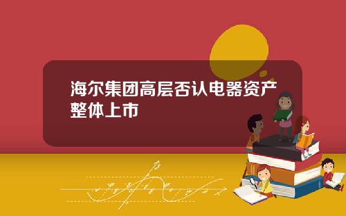 海尔集团高层否认电器资产整体上市