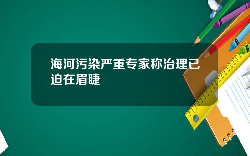 海河污染严重专家称治理已迫在眉睫