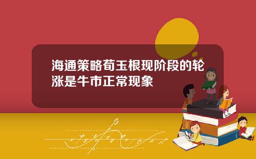 海通策略荀玉根现阶段的轮涨是牛市正常现象