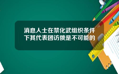 消息人士在禁化武组织条件下其代表团访俄是不可能的