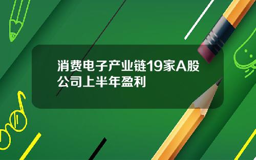 消费电子产业链19家A股公司上半年盈利