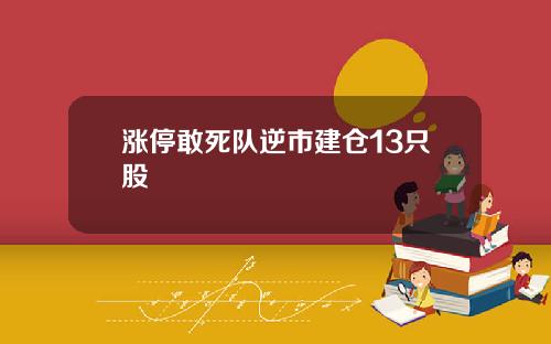 涨停敢死队逆市建仓13只股