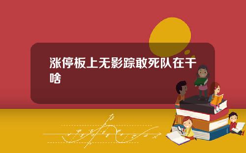涨停板上无影踪敢死队在干啥