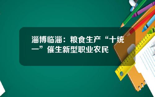 淄博临淄：粮食生产“十统一”催生新型职业农民