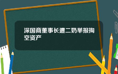 深国商董事长遭二奶举报掏空资产