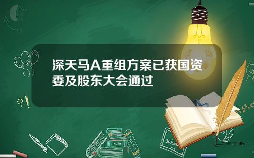 深天马A重组方案已获国资委及股东大会通过