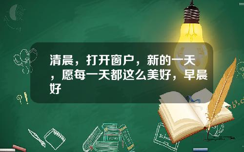 清晨，打开窗户，新的一天，愿每一天都这么美好，早晨好