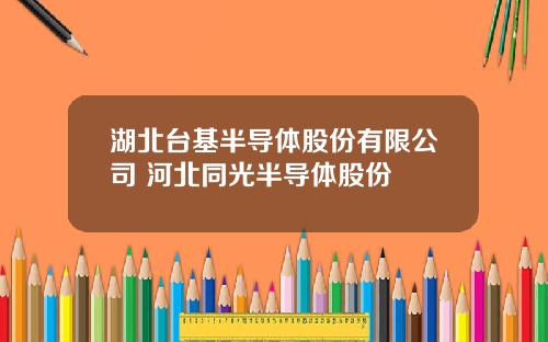 湖北台基半导体股份有限公司 河北同光半导体股份
