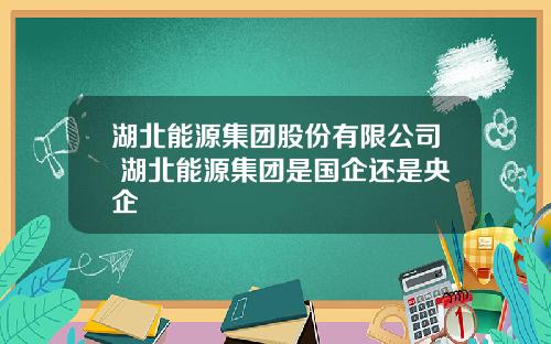 湖北能源集团股份有限公司 湖北能源集团是国企还是央企