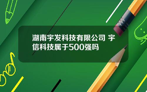 湖南宇发科技有限公司 宇信科技属于500强吗