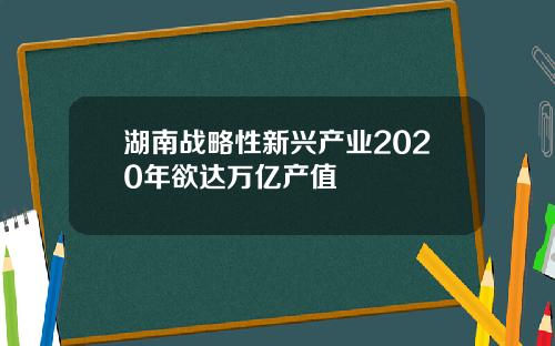 湖南战略性新兴产业2020年欲达万亿产值