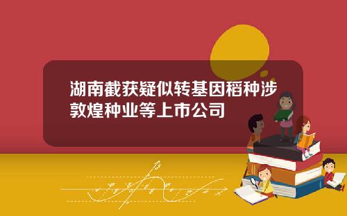 湖南截获疑似转基因稻种涉敦煌种业等上市公司