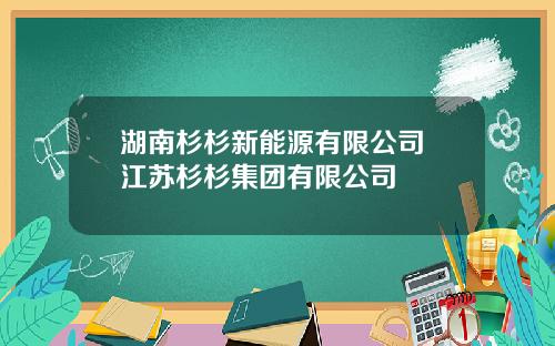 湖南杉杉新能源有限公司 江苏杉杉集团有限公司