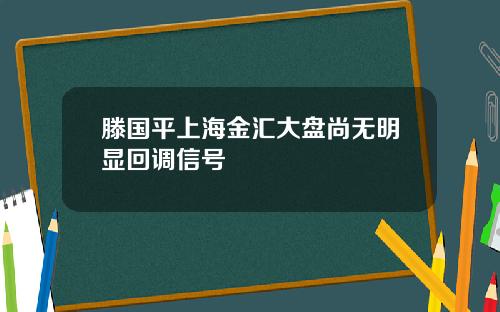 滕国平上海金汇大盘尚无明显回调信号