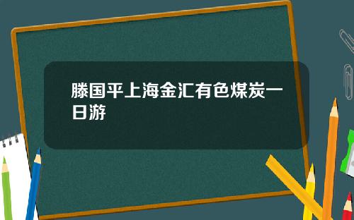 滕国平上海金汇有色煤炭一日游