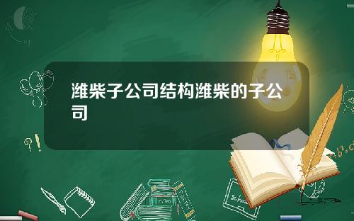 潍柴子公司结构潍柴的子公司