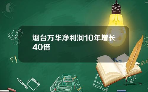 烟台万华净利润10年增长40倍