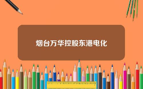 烟台万华控股东港电化