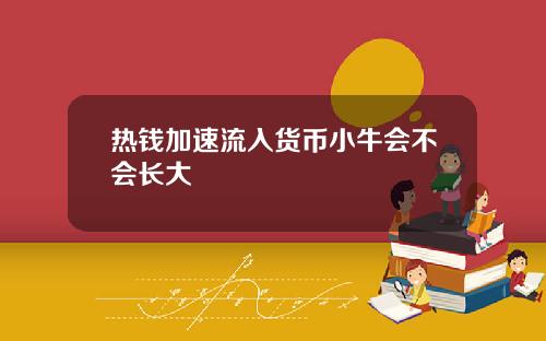 热钱加速流入货币小牛会不会长大