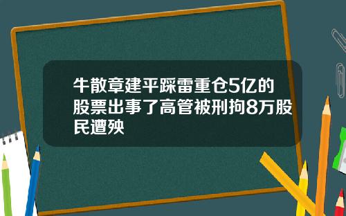 牛散章建平踩雷重仓5亿的股票出事了高管被刑拘8万股民遭殃