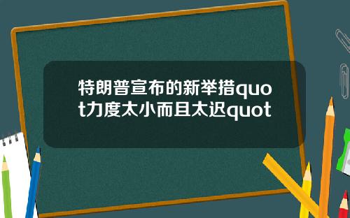 特朗普宣布的新举措quot力度太小而且太迟quot