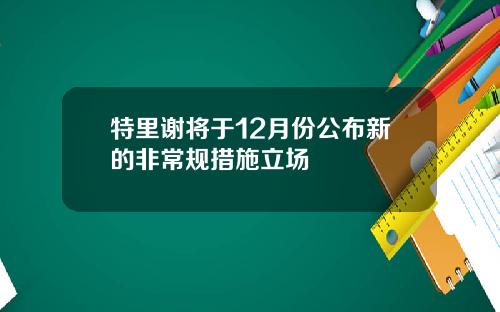 特里谢将于12月份公布新的非常规措施立场