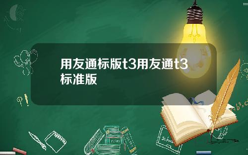 用友通标版t3用友通t3标准版
