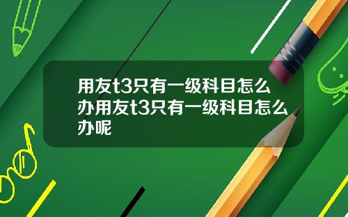 用友t3只有一级科目怎么办用友t3只有一级科目怎么办呢