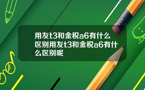 用友t3和金税a6有什么区别用友t3和金税a6有什么区别呢