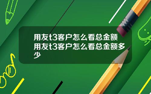 用友t3客户怎么看总金额用友t3客户怎么看总金额多少