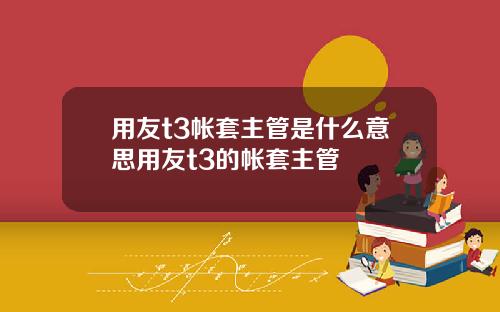 用友t3帐套主管是什么意思用友t3的帐套主管