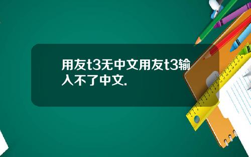 用友t3无中文用友t3输入不了中文.