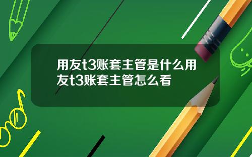 用友t3账套主管是什么用友t3账套主管怎么看