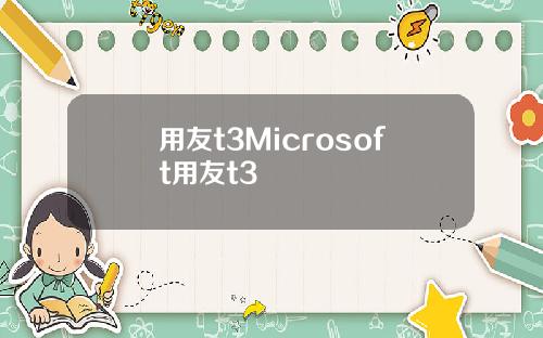 用友t3Microsoft用友t3