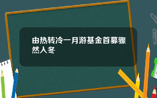 由热转冷一月游基金首募骤然入冬