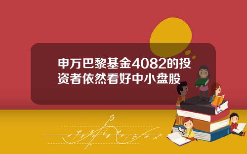 申万巴黎基金4082的投资者依然看好中小盘股