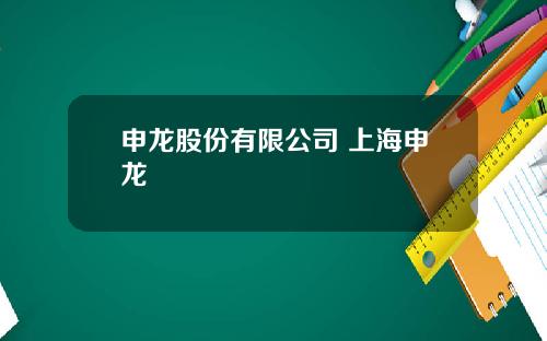 申龙股份有限公司 上海申龙