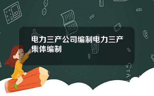 电力三产公司编制电力三产集体编制