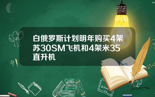 白俄罗斯计划明年购买4架苏30SM飞机和4架米35直升机