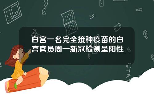 白宫一名完全接种疫苗的白宫官员周一新冠检测呈阳性