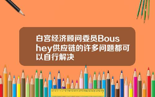 白宫经济顾问委员Boushey供应链的许多问题都可以自行解决
