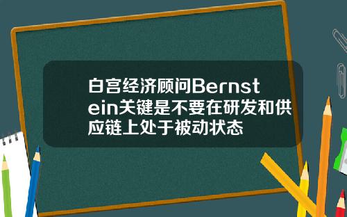 白宫经济顾问Bernstein关键是不要在研发和供应链上处于被动状态