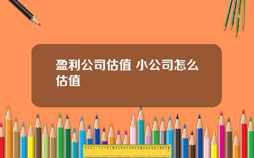 盈利公司估值 小公司怎么估值