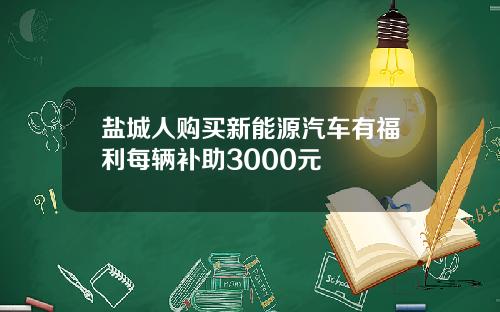 盐城人购买新能源汽车有福利每辆补助3000元