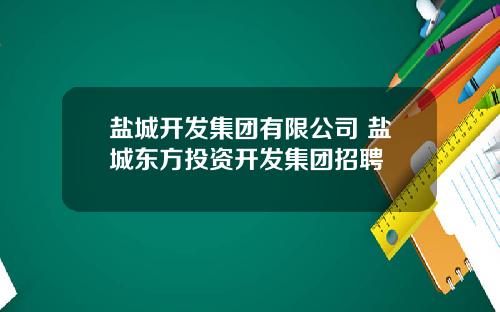 盐城开发集团有限公司 盐城东方投资开发集团招聘
