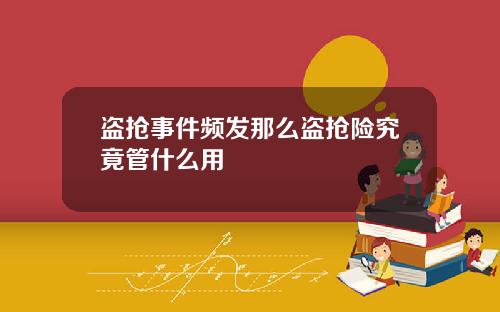 盗抢事件频发那么盗抢险究竟管什么用